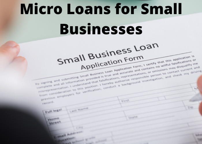 Micro Loans for Small Businesses
