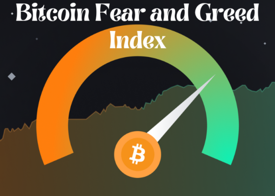 fear index for bitcoin