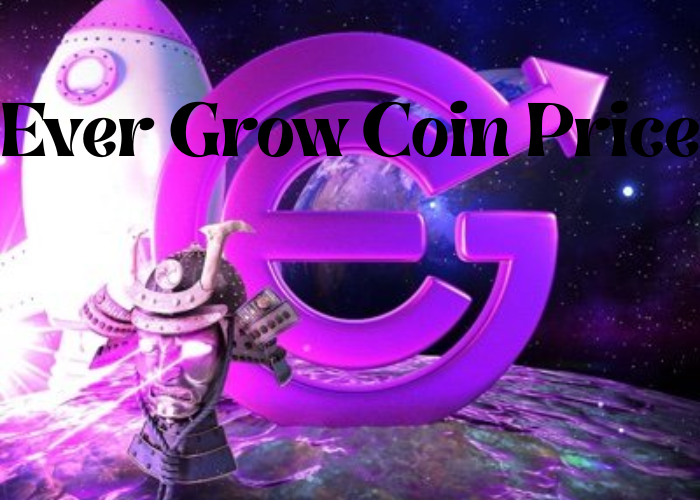ever grow coin price