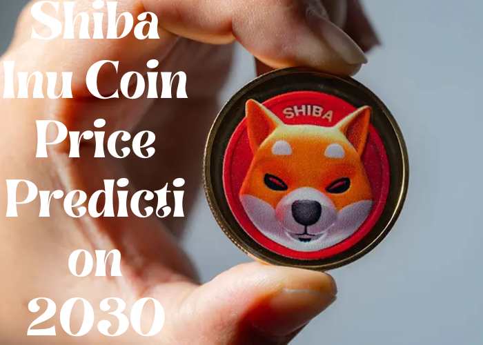 shiba inu coin price prediction 2030