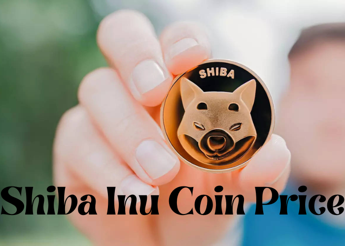 Shiba Inu Coin Price